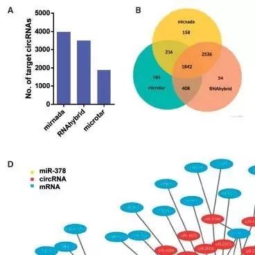 推广：开学季—2017年9月培训班安排