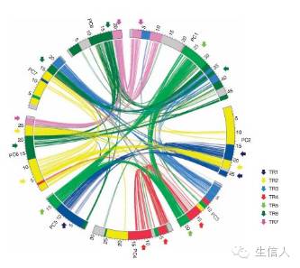 基因组研究的常规套路