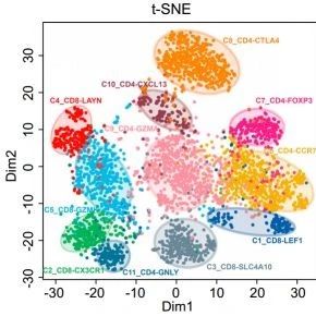 “零基础”学习单细胞转录组测序