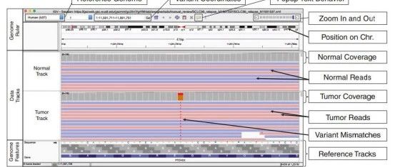 肿瘤体细胞突变人工审核SOP