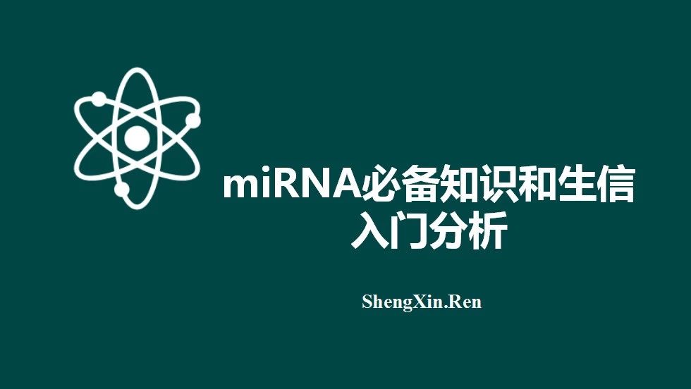 关于miRNA，一个视频就够了