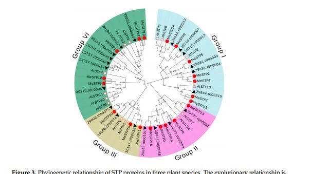 想发SCI，必须看过来