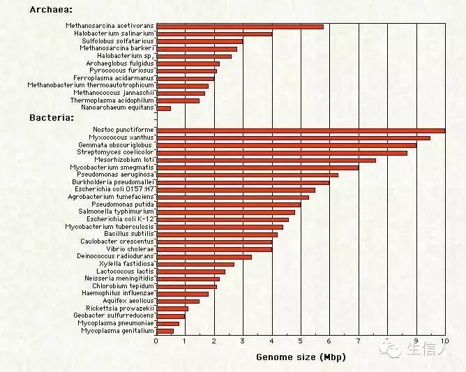 干货，纯理论，无图，无真相，不喜勿点