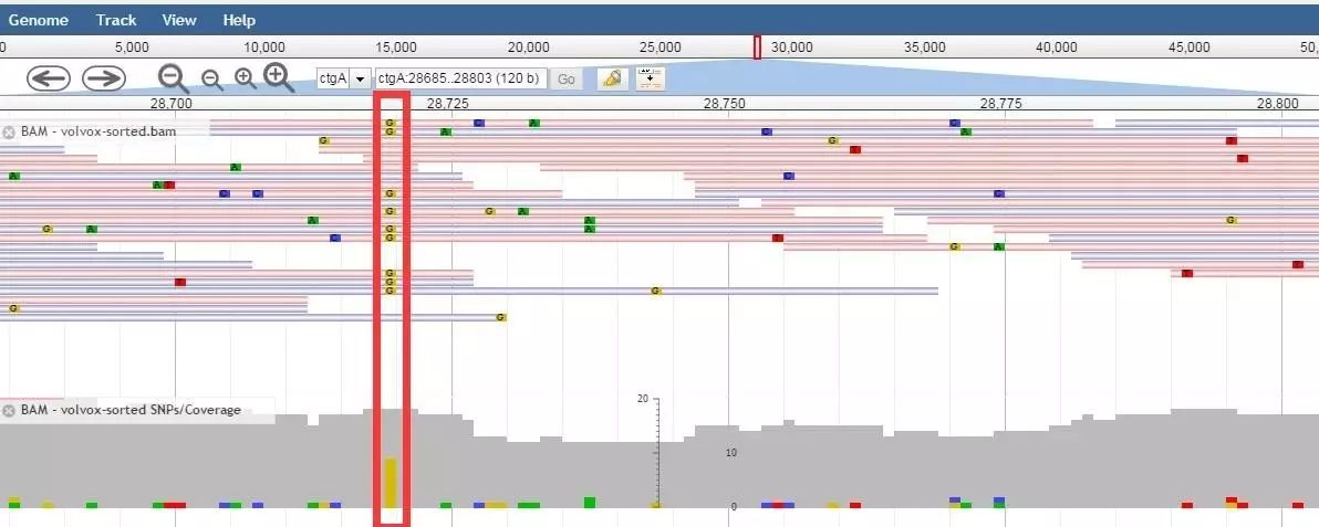 使用拟南芥基因组演示怎么配置JBrowse