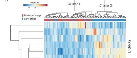 对方向扔了一个赤果果的生信分析SCI思路