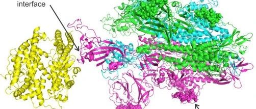 2月bioRxiv生信好文速览|掌上基因组、蛇不是新冠宿主