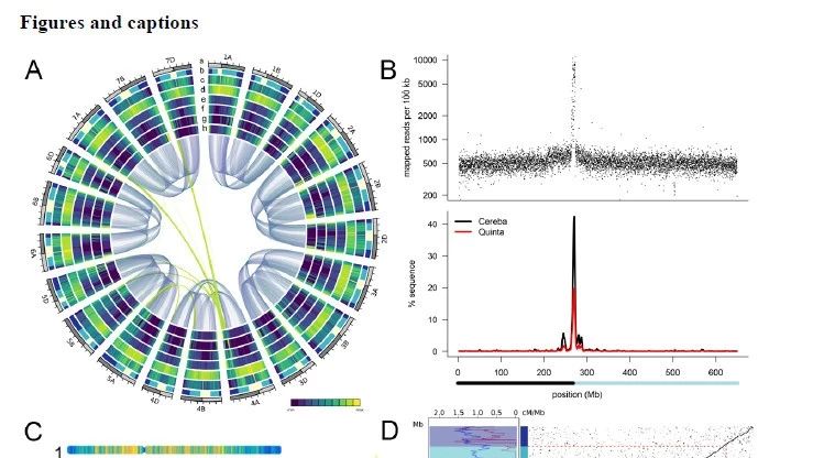 Science重磅|历时13年六倍体小麦基因组图谱终完成（详细解读）