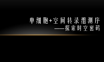 未来已来——单细胞测序联合空间转录组测序（整合篇）