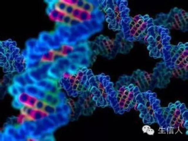 3D基因组之HI-C数据分析