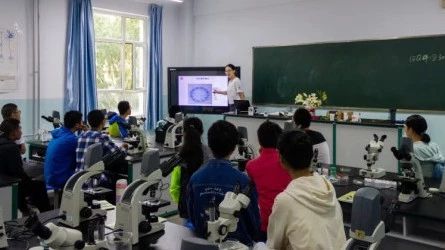 生信故事：实践