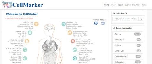Cellmarker: 如何找到你研究的细胞marker