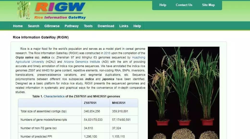 水稻数据库发了Molecular Plant