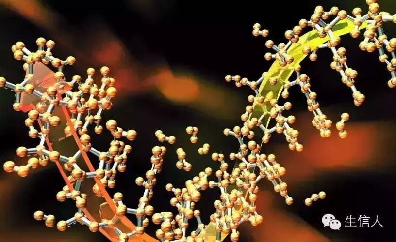 cafe计算基因家族收缩和扩张