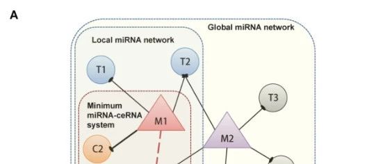 关于cerQTL的知识，你了解么？