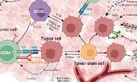 SXR202305019C +Nature万字综述肿瘤微环境随着癌症进展的动态演变过程