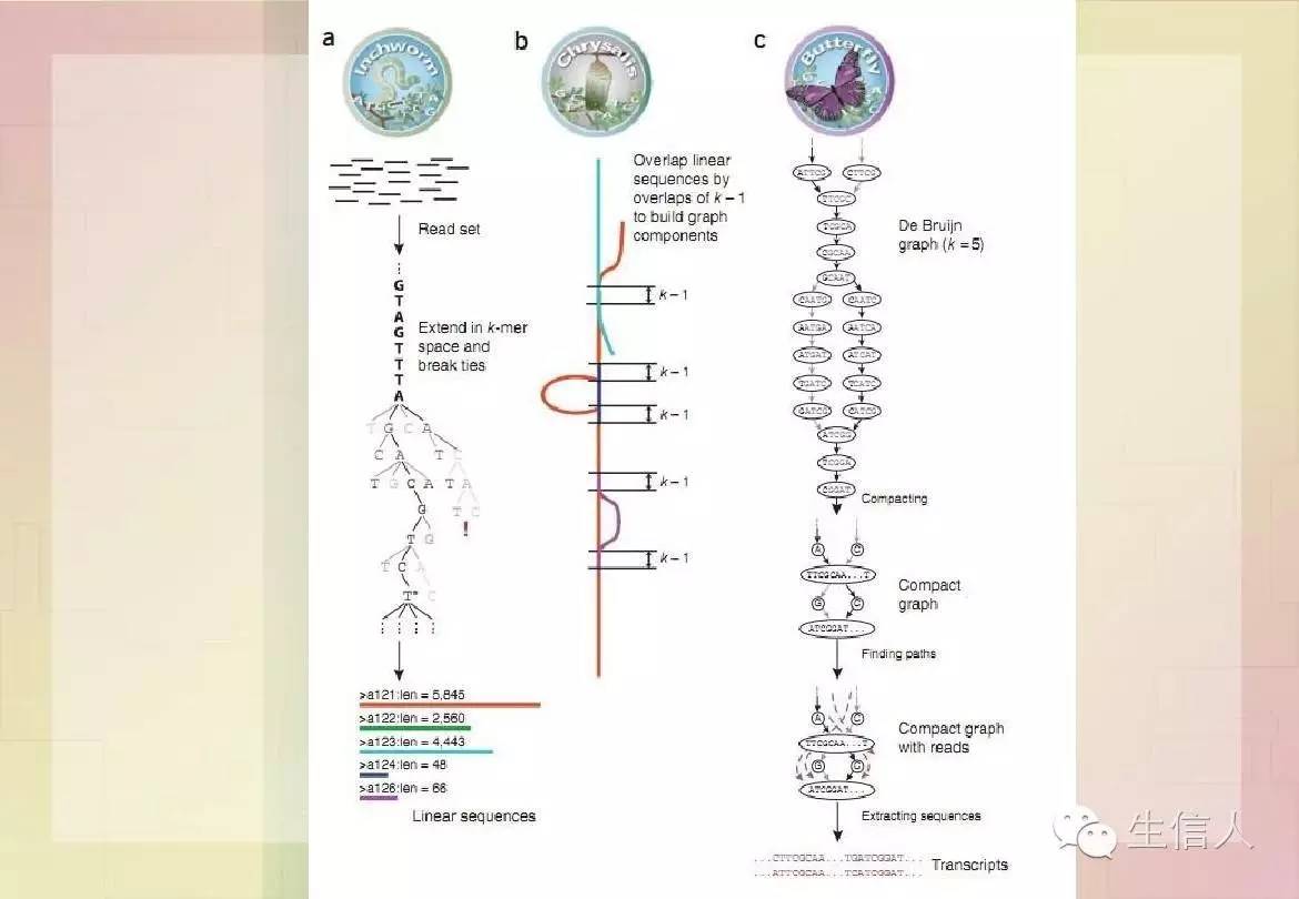 第二代测序技术的转录组组装