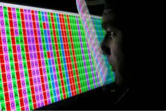 FASTA序列文件处理一网打尽