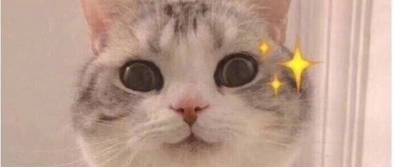 预后标记——来历不简单哦