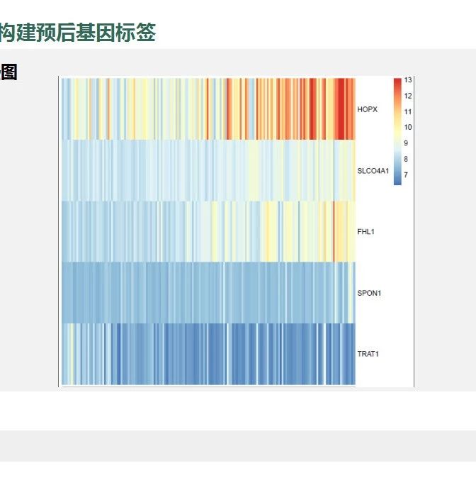 不用动脑的sci课程更新了