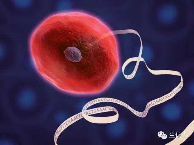 单细胞测序技术系列