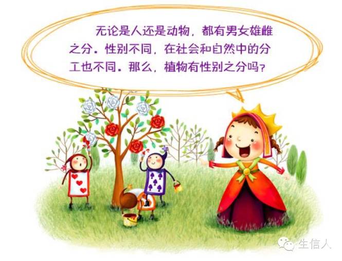 植物王国的性别大战