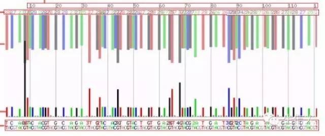 【多图预警】NCBI SRA数据库使用详解
