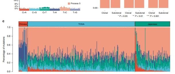 文献解读：进化结构预测肾透明细胞癌的生存结局