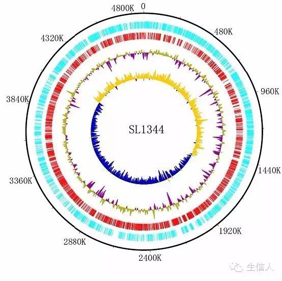 干货：基因组注释详解