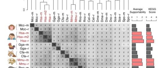 研究共表达网络的超级武器:COXPRESdb