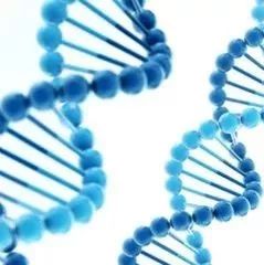 最全RNA-seq测序平台简介