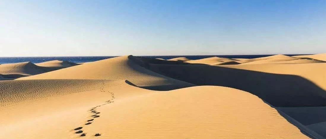 盘点：生信人的2018