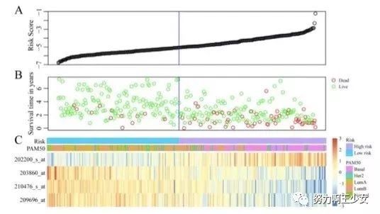 干货|高逼格的sci图片手把手教学