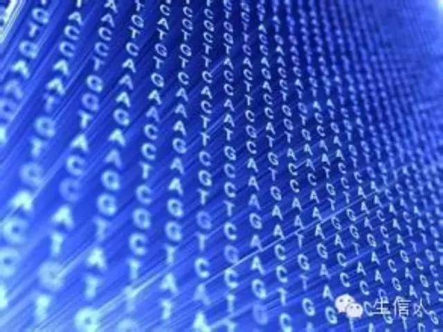 基因预测方法（一）