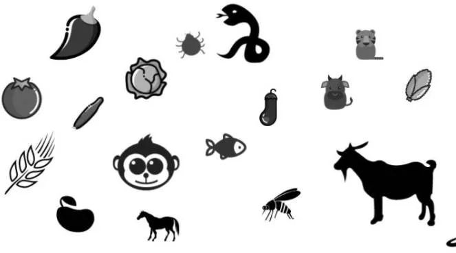 一个物种一个家