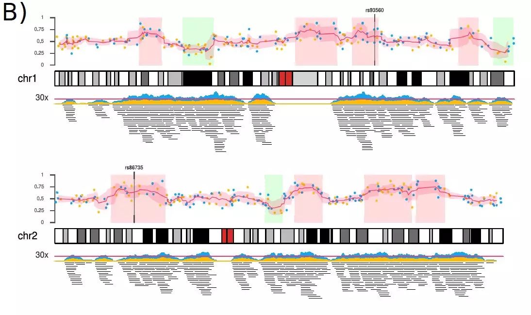 karyoploteR：基因组可视化定制版