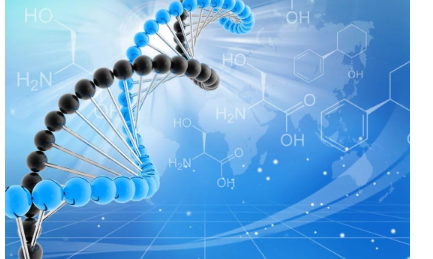 小身体，大能量：Top期刊下的癌症微生物