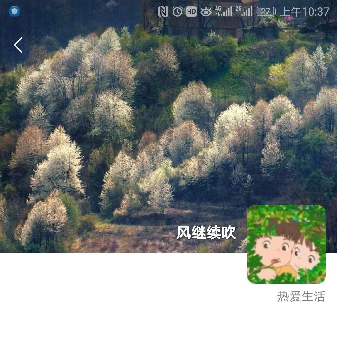 下载链接失效声明