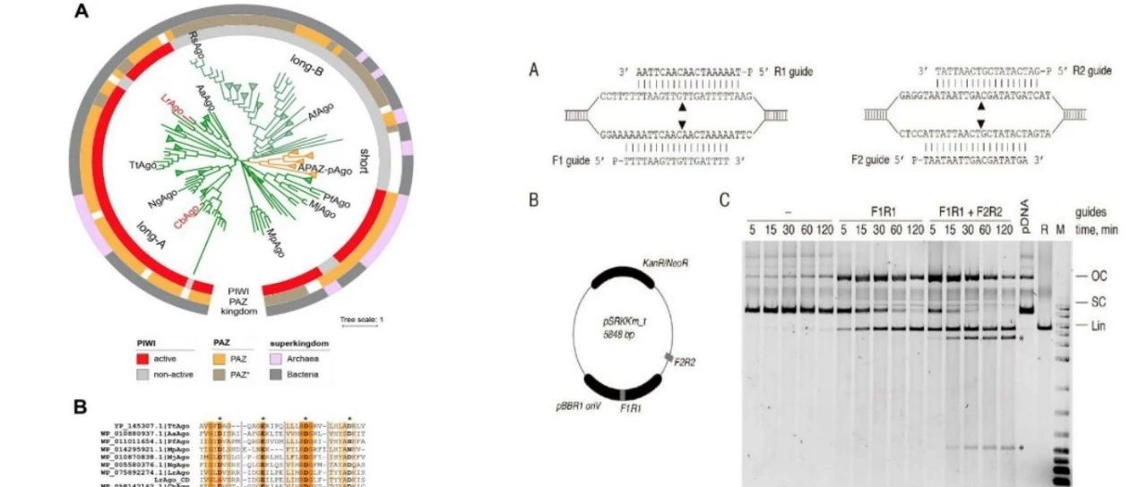2019年2月bioRxiv生信好文速览