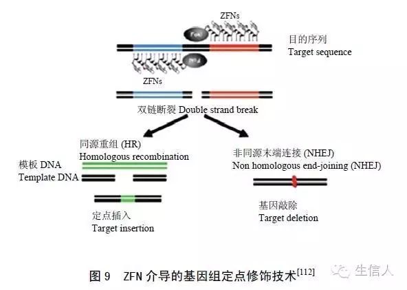 基因功能验正的几种方法
