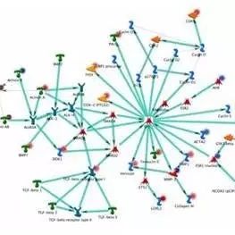 不做实验，不写meta分析，用这个方法轻轻松松发40多篇SCI