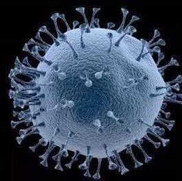 Nature Medicine五大佬撰文：新冠病毒非人工合成
