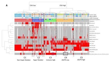 干货：泛癌文献深度解读
