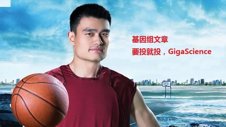 看完Gigascience的6篇基因组文章，我发现了惊天的大秘密