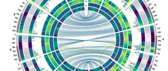 Nature Genetics|栽培二粒小麦基因组