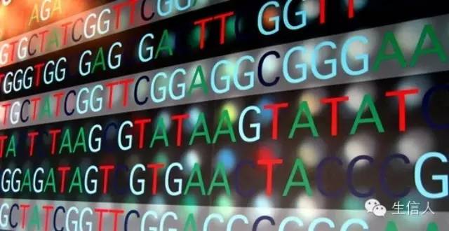 DNA各种序列格式介绍