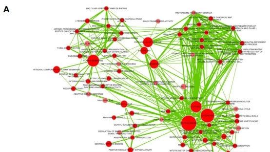 世界杯越来越冷，这个套路却持续火热~~