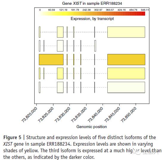 HISAT, StringTie and Ballgown（二）