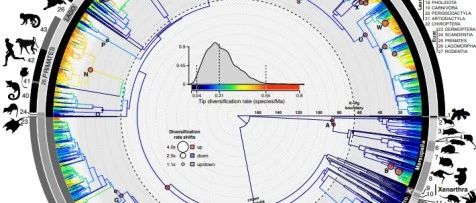2019年1月bioRxiv好文速览