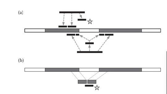 转录组比对工具专题-Bowtie2