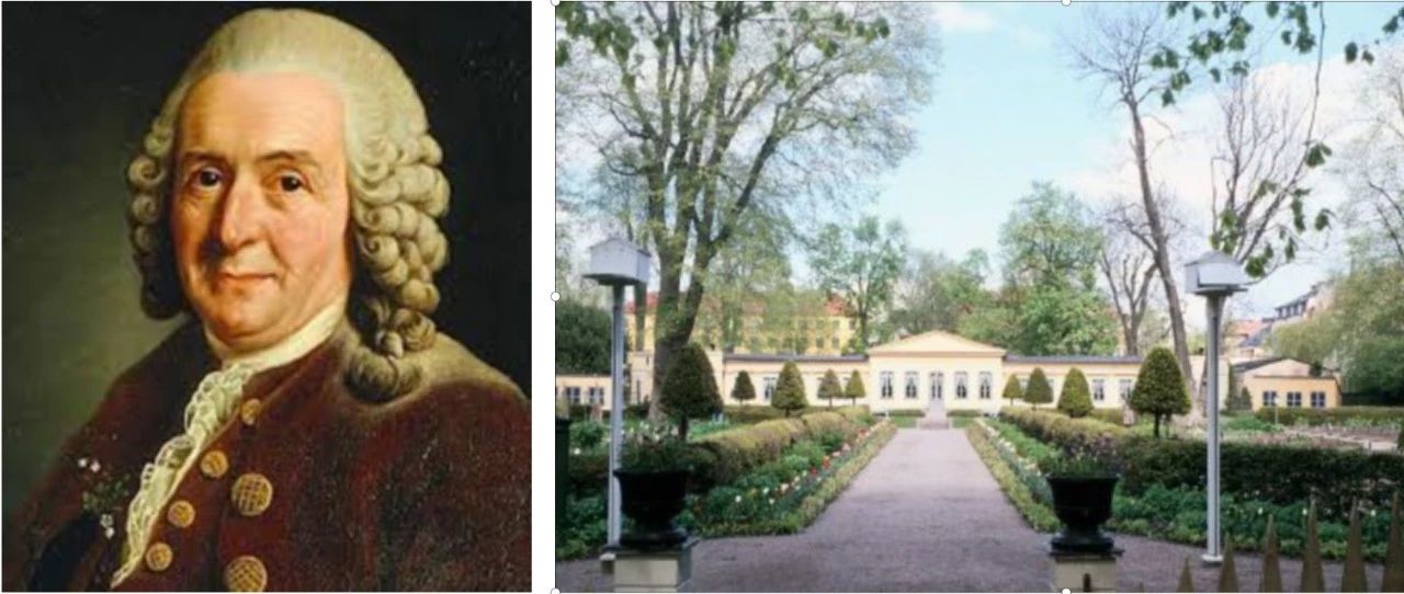 生信人也要学学拉丁文